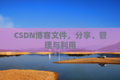 CSDN博客文件，分享、管理与利用